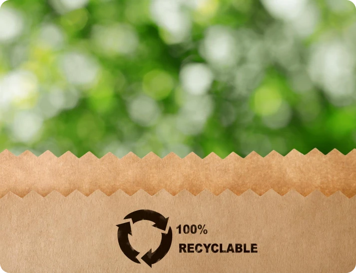 Embalagem de papelão kraft 100% reciclável
